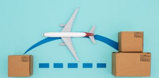 Sustainability in Indian Exports: Meeting Global Demand for Eco-Friendly Products