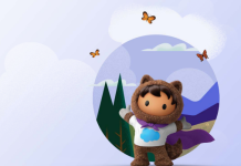 Agentic AI Data Foundation: Salesforce + AWS Guide Agentic AI Data Foundation: Salesforce + AWS Guide