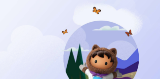 Agentic AI Data Foundation: Salesforce + AWS Guide Agentic AI Data Foundation: Salesforce + AWS Guide
